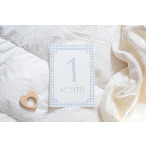 Blue Gingham Milestone Cards, Baby Boy Milestone Cards, Baby Boy Monthly Milestones, Baby Shower Gift, Baby Month Cards, Welcome Baby Sign