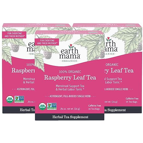 Earth Mama Organic Raspberry Leaf Tea Bags | Labor Tonic & Menstrual Support Herbal Tea, Red Raspberry Leaf Tea for Pregnancy & Postpartum Care Recovery, Caffeine Free Tea, Non GMO, (16 Teabags, 3-Pk)