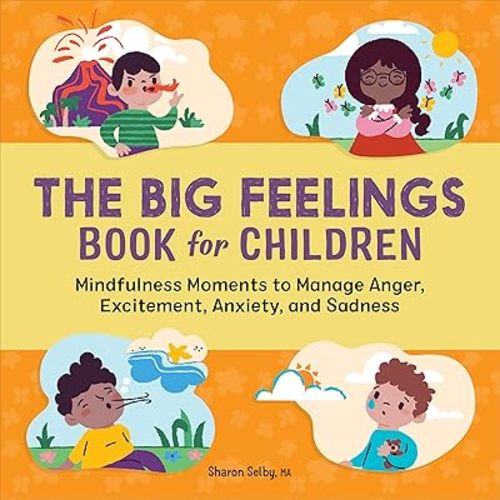 The Big Feelings Book for Children: Mindfulness Moments to Manage Anger, Excitement, Anxiety, and Sadness Paperback – February 1, 2022