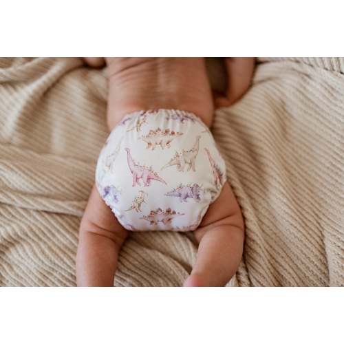 Fossil Garden - (AIO NEWBORN POCKET DIAPER)