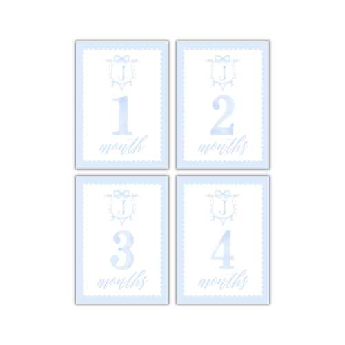 Watercolor Baby Boy Blue Monthly Milestone Cards
