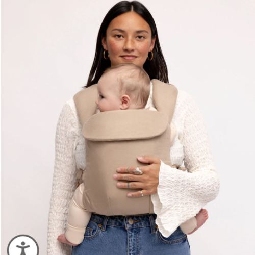 Desert Lark - Aerial Carrier – WildBird