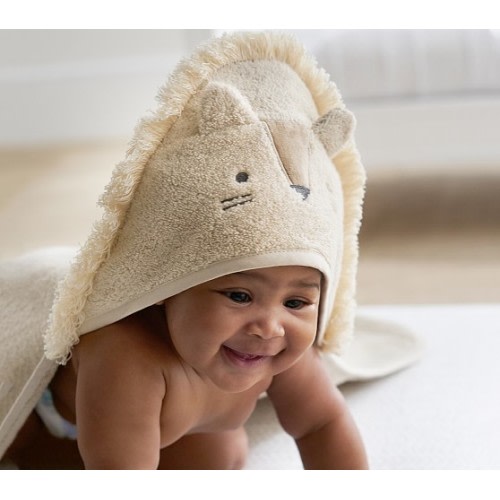 Super Soft Lion Baby Hooded Towel & Wash Cloth