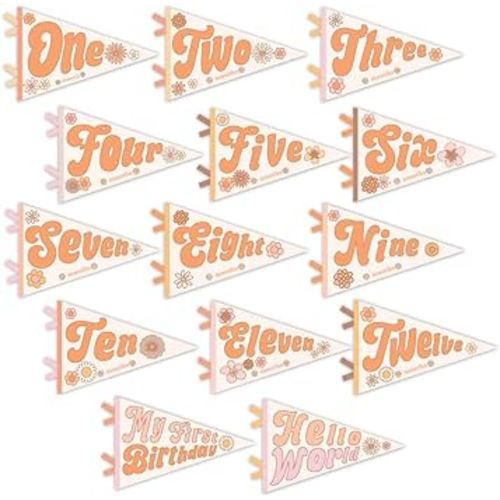 Lucy Darling Petit Milestone Pennants – 12 Felt Baby Monthly Banners for Boy or Girl – Photo Props, Nursery Decor, Felt Flag Set – Keepsake Gift for Newborn & Baby (Floral Flower Child)