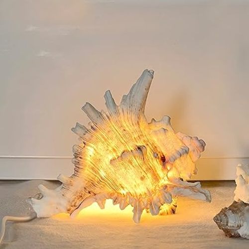 Magic Conch Shell Lamp – LED Lighted Real Conch Shell Night Light (7.2''-8.0'') USB/Battery-Powered Seashell Lamp for Bedroom Beach Decor (White, Large)