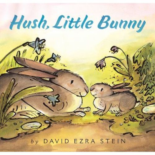 Hush, Little Bunny - by David Ezra Stein (Board Book)