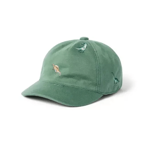 Baby Dinosaur Cap