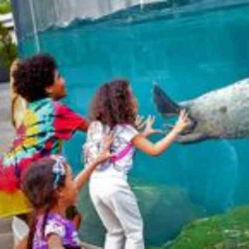 Gift Membership - Product Selection - Riverbanks Zoo & Garden