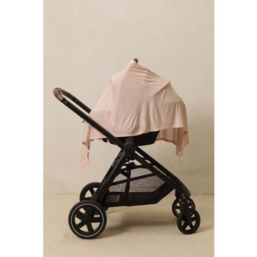 Ballet Nursing Cover
