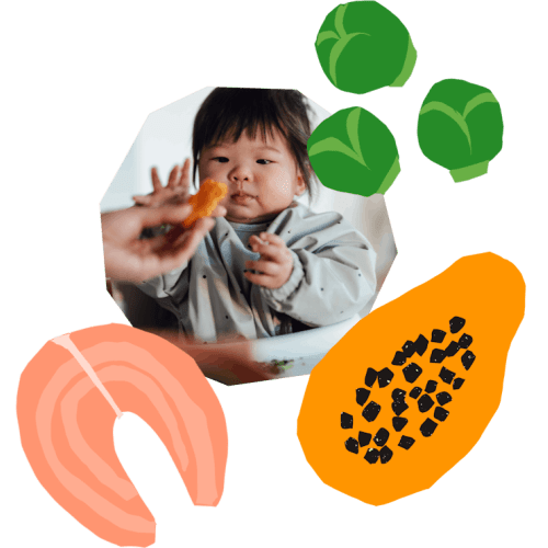 Baby-Led Weaning Program with Katie Ferraro