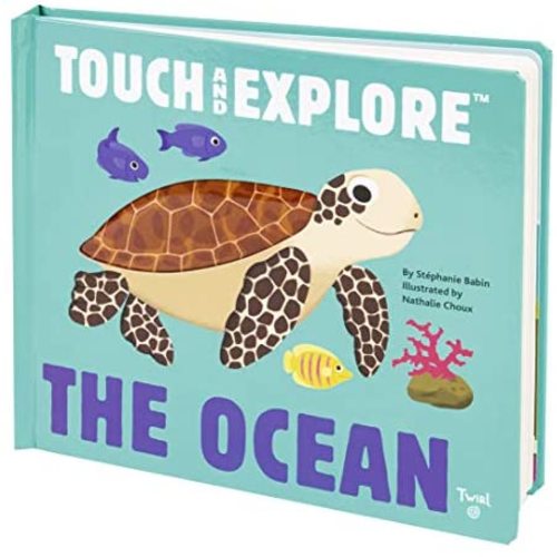The Ocean (Touch and Explore) (Touch and Explore, 1)