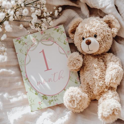 Printed Bow and Floral Milestone Cards, Gingham and Floral Ribbon Baby Monthly Milestone Keepsake Cards, Baby Shower Gift, 2811