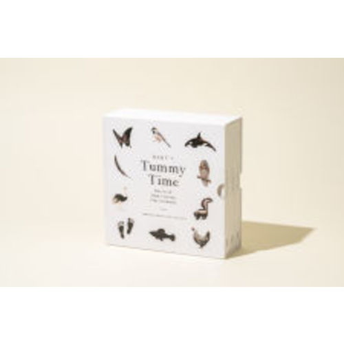 Baby's Tummy Time Book Box Set: A 3-Book Box Set of High-Contrast Art for Visual Stimulation at Tummy Time by Tabitha Paige, Other Format | Barnes & Noble®