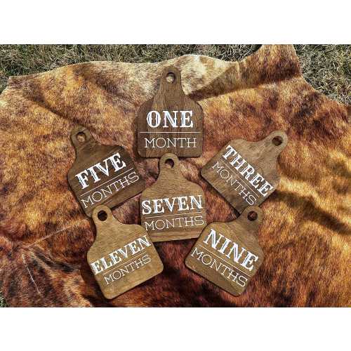 Cow Tag Monthly Milestone Set Western Baby Milestone Tag Set