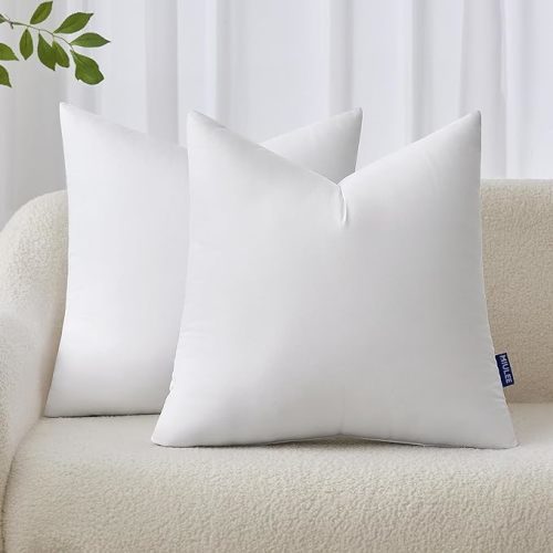 MIULEE 20x20 Inches Pillow Inserts Pack of 2