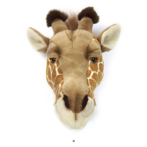 Giraffe Head Wall Mount | Wild Yellow