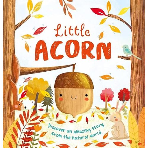 Nature Stories: Little Acorn: Padded Board Book Board book – Picture Book, September 1, 2020