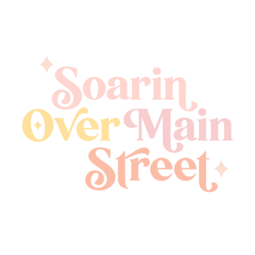 Park Days Stroller Caddy! *Ready to Ship* – Soarin Over Main Street