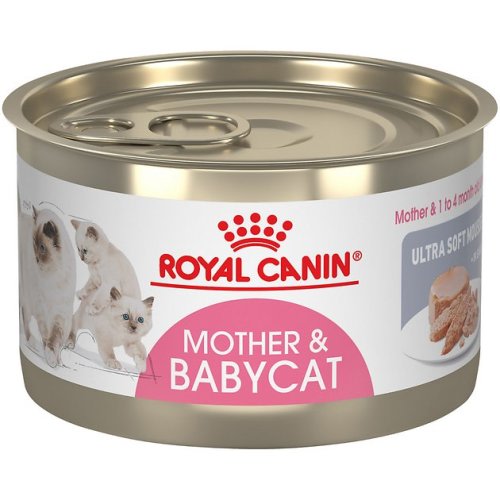ROYAL CANIN Mother & Babycat Ultra-Soft Mousse in Sauce Wet Cat Food for New Kittens and Nursing or Pregnant Mother Cats | Chewy