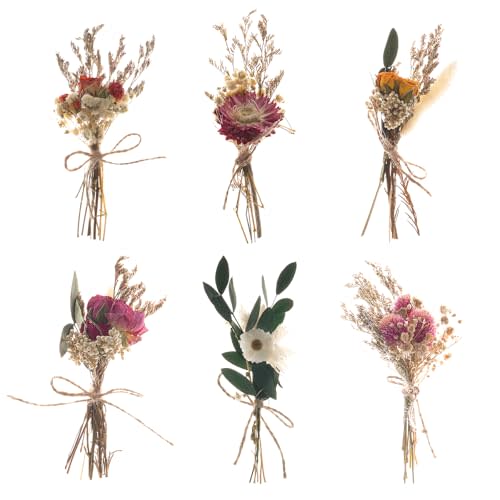 Fumwase 6Pcs Mini Dried Flower Bouquet Natural Real Flowers for Crafts Boho Dried Flowers Bulk Small Dried Flowers for Vase Dried Wildflowers for DIY Photo Props Gift Wedding Decor
