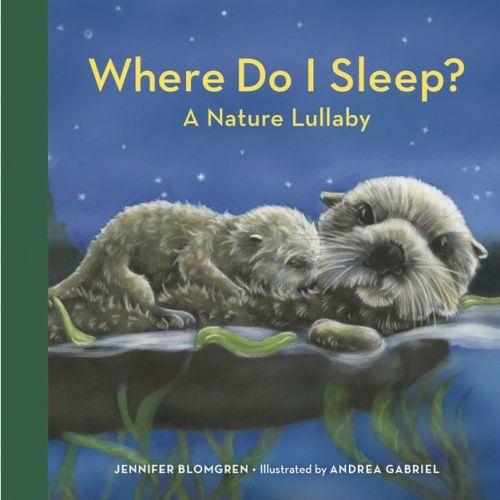 Where Do I Sleep? - By Jennifer Blomgren (board Book)