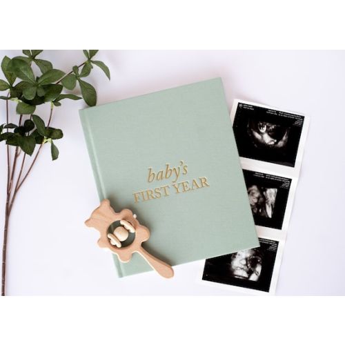 Baby Memory Book & Baby Photo Album | Baby Shower Gift for New Mom | Boy or Girl Milestone Scrapbook for Expecting Mom | First Year Journal