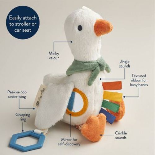 Itzy Ritzy Traveller Learning Toy - Goose