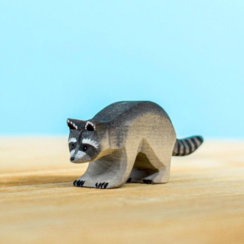 Raccoon
