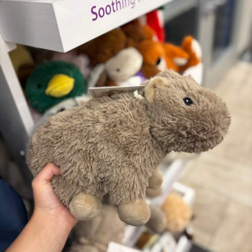 Warmies Microwavable Capybara | SCHEELS.com