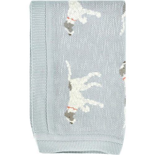 Creative Co-Op DF2527 40" L x 32" W Cotton Knit Baby Dog Blanket, Blue, Small