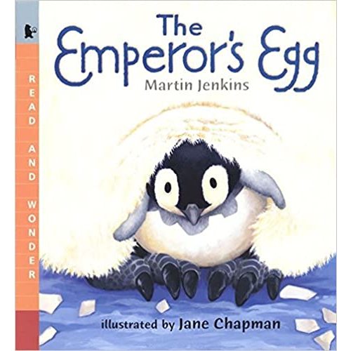 The Emperor's Egg: Read and Wonder