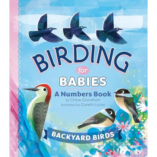Birding for Babies: Backyard Birds