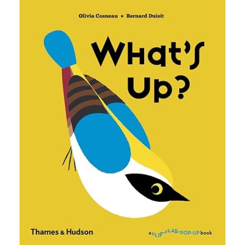 What's Up? (Flip Flap Pop-Up)