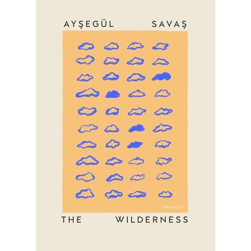 The Wilderness (Undelivered Lectures) Paperback – October 15, 2024