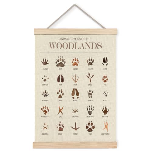 Foritho Animal Tracks of the Woodlands Poster Wall Art Framed, Woodland Nursery Decor, Jungle Forest Animal Tracks Field Guide Canvas Prints Wall Decor for Nursery Kids Room Playroom, 12x16 Inch