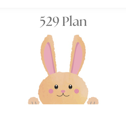 529 Plan Fund