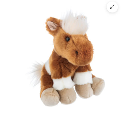 The Shetland Pony H15260