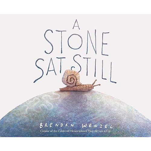A Stone Sat Still by Brendan Wenzel