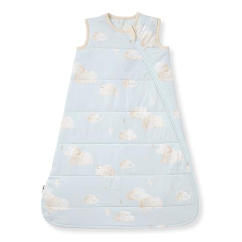 Burt's Bees Baby Beekeeper Infant Wearable Blanket, 100% Organic Cotton Unisex, Girl, Boy Swaddle Transition Sack