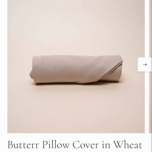 Butterr Pillow Cover in Wheat