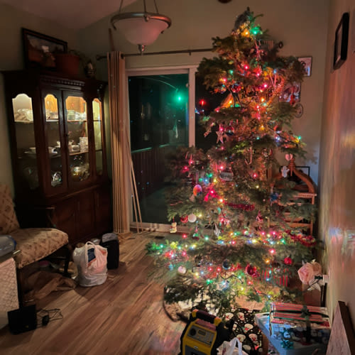Help decorate for Christmas 🎄