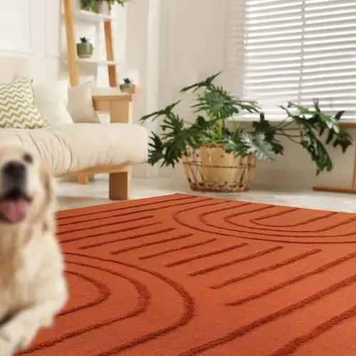 LEEVAN Washable Rugs for Living Room 5x8, Terracotta Tufted Rainbow Nursery Rug, Boho Low Pile Bedroom Floor Carpet, Modern Farmhouse Kids Room Rug for Dorm/Bedside/Classroom/Room