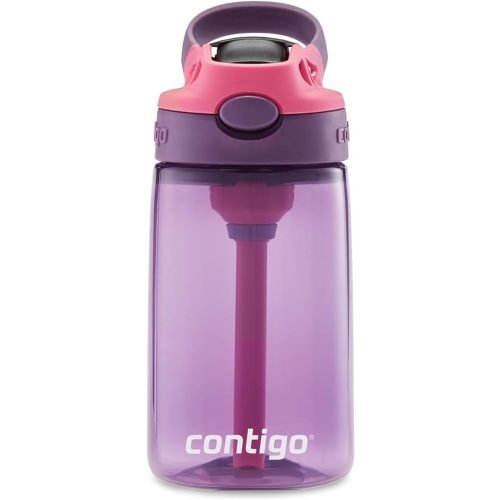 Contigo Kids Straw Water Bottle with AUTOSPOUT Lid, 14oz, Eggplant