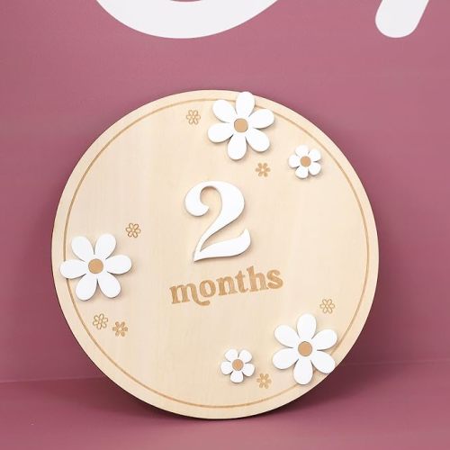 Wooden Boho Daisy Flower Milestone Cards - 1-12 Months Interchangeable Milestone Card Decor,Baby Party Photo Prop,Full Moon Background Decoration Props. (2-12 Months Daisy Flower Milestone Cards)