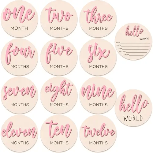 7 Pcs Baby 3D Monthly Milestone Wooden Signs Girl Baby 1-12 Months Announcement Card Sign Wood Markers Disc Block Baby Keepsake Double Sided Engraved Keepsake Photo Prop (Pink)