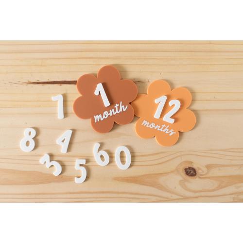 Daisy Acrylic Interchangeable Monthly Milestone Markers | Newborn Baby Shower Gift | 1 Month-1 Year Milestone Markers |Baby Photo Prop