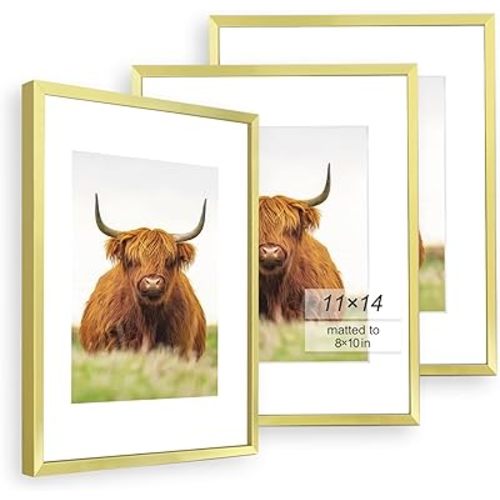 Golden State Art, 11x14 Picture Frame Set of 3, Gold Thin Border Photo Frame, Display Pictures 8x10 with Mat or 11x14 Without Mat, Wall Hanging Horizontal and Vertical