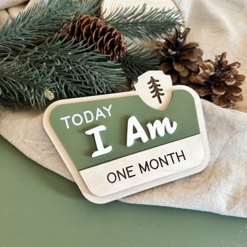 National Park Milestone Set|Rustic Monthly Milestones|Happy Camper Milestone Set