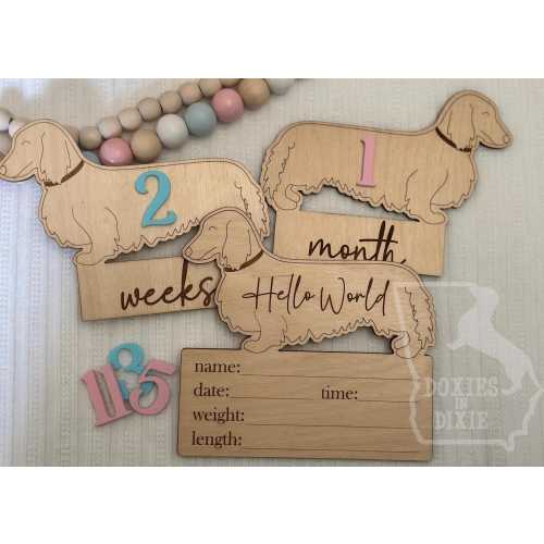 Baby Monthly Wooden Milestone, Long Haired Dachshund, Wood Age Plaques for Photo Props, Dog Nursey, Baby Shower Gift | Doxie, Wiener Dog