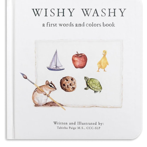 Wishy Washy: A Board Book of First Words and Colors for Growing Minds